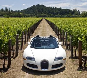 The Bugatti Veyron 16.4 Grand Sport convertible in one of Napa Valley Reserve vineyards in St. Helena, CA, on Jun. 6, 2009. (Photo By: Peter DaSilva)