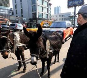 Range Rover Owned In China Returns Vehicle Via Donkey