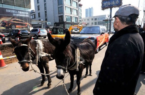 range rover owned in china returns vehicle via donkey