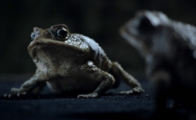 Ford Australia Sells EcoBoost With Frogs in Quirky New Ad – Video