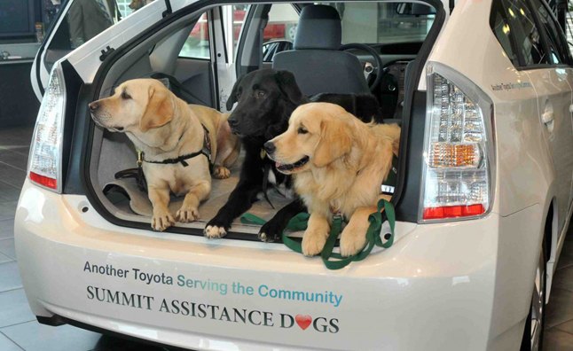 toyota 100 cars for good program announces first 25 winners