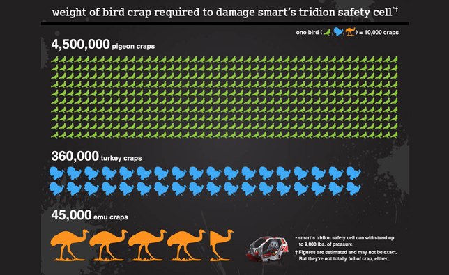 Can Bird Poop Crush a Smart Car?