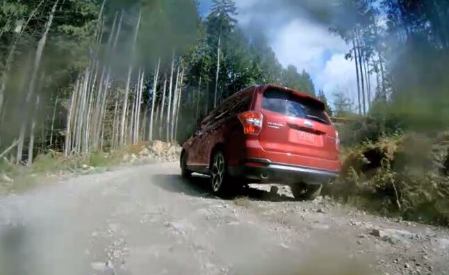 Win a Subaru in the Forester Family Rally