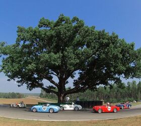 Virginia International Raceway Famous Oak Tree Falls