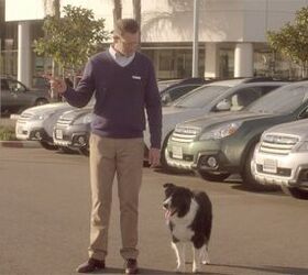 Subaru Seeks to Make Car Crashes Safer for Dogs