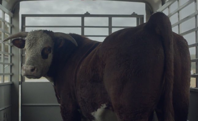 chevy super bowl commercial drips with sex appeal for cows