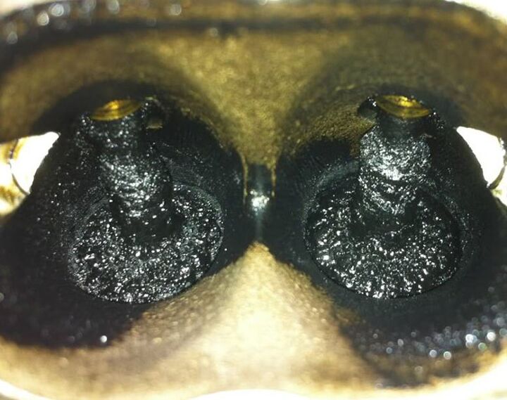 Is Carbon Buildup a Problem With DirectInjection Engines?