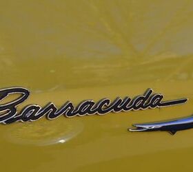 Barracuda Nameplate Trademarked Again