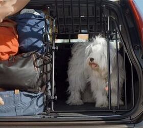 top 10 dog friendly cars and crossovers