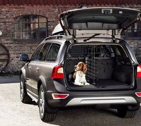 What Pet Owners Need to Look for When Buying a Car