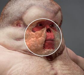 This is What a Crash-Proof Human Would Look Like, But It May Give You Nightmares