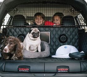 nissan s latest concept is pawfect for dogs