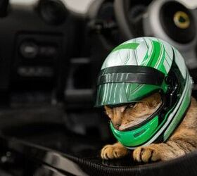Lotus Wants to Sell You a Pet Helmet