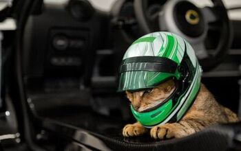 Lotus Wants to Sell You a Pet Helmet