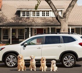 subaru s adorable dogs are back in new commercials