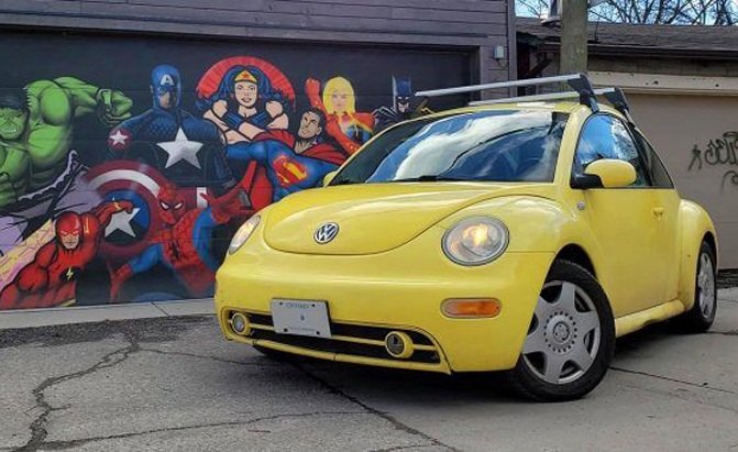 How Many Punches Has My 18-Year-Old Beetle Inspired? A Daring Investigation