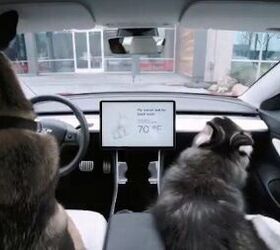 Tesla Now Has a Dog Mode to Keep Your Pets Cool