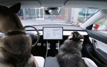 Tesla Now Has a Dog Mode to Keep Your Pets Cool