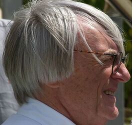 formula 1 chief bernie ecclestone injured in mugging