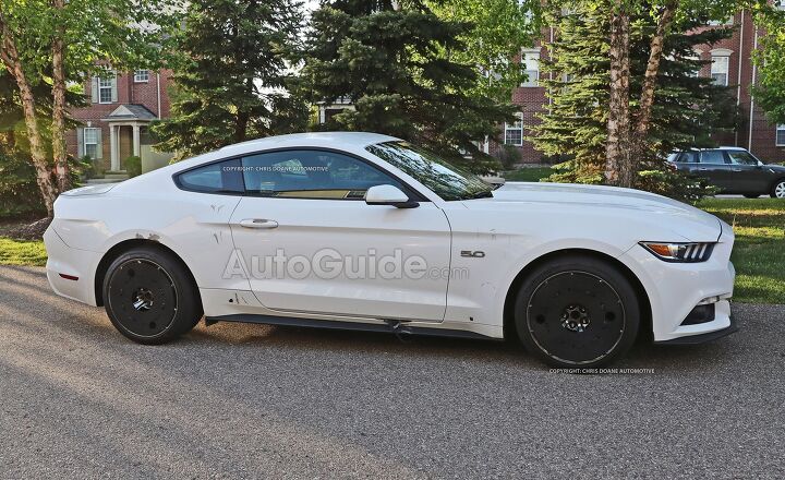 This is Possibly the Next Ford Mustang Mach 1