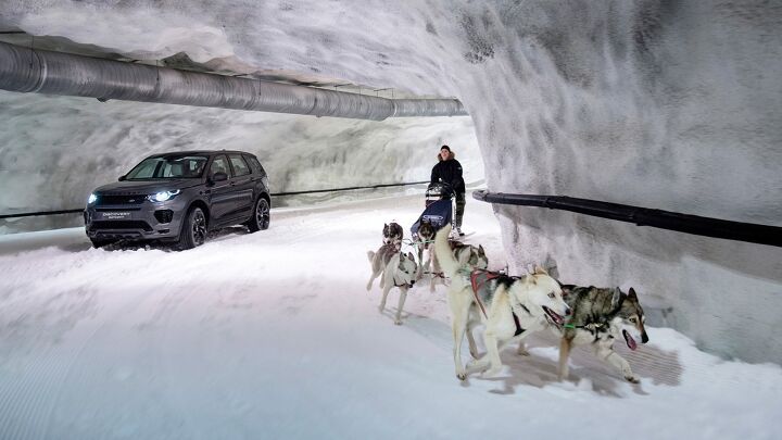 Discovery Sport Goes Racing Against… Dogs