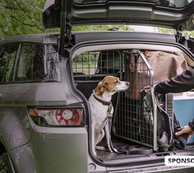 Why Travall Guards and Dividers Are the Best Travel Solution for Pet-Owners