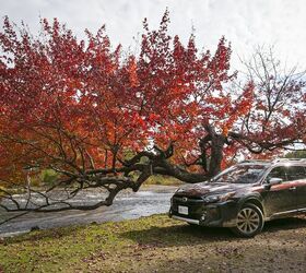2023 Subaru Outback Review: Updating the SUV Anomaly