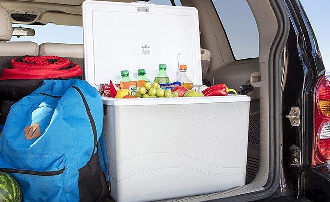 the best car coolers and portable refrigerators for your next road trip