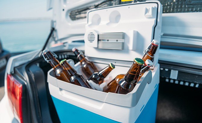the best car coolers and portable refrigerators for your next road trip