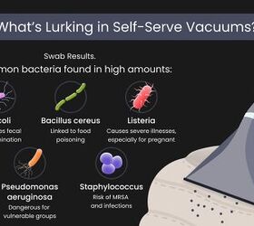 the nasty facts about public car vacuums