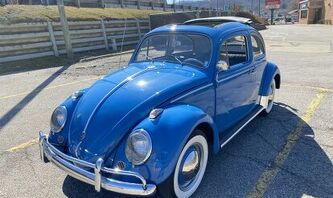 1960 Volkswagen Beetle For Sale