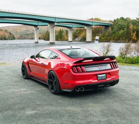 2019 ford mustang for sale