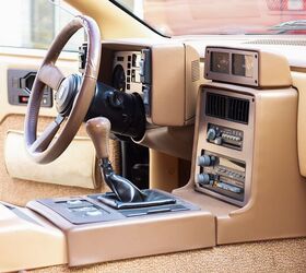 Photo Credit: Shutterstock/Jimmy Rooney