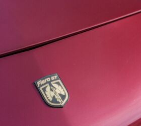 Photo Credit: Shutterstock/Vivid Brands