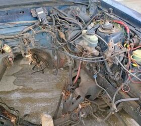 1988 ford mustang for sale