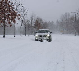 Photo Credit: Mike Schlee