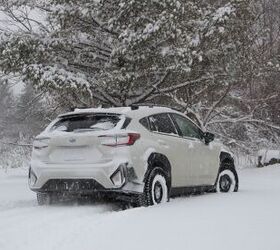 Photo Credit: Mike Schlee