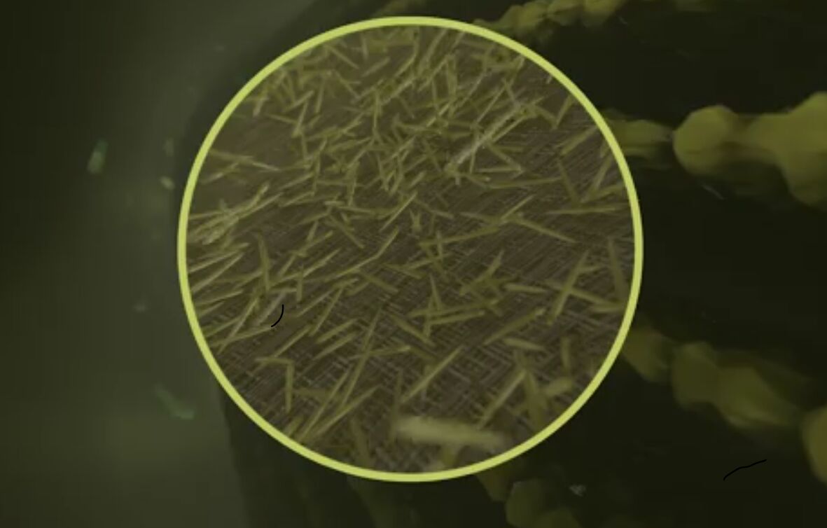 Deisel Fuel Rash How To Prevent Diesel Gelling And How To Fix It If It Happens To You ...