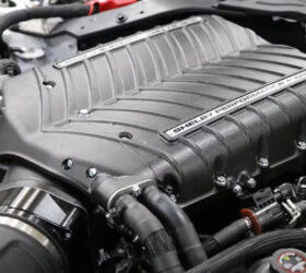 2026 mustang gt350 ta shelby gets serious about racing again