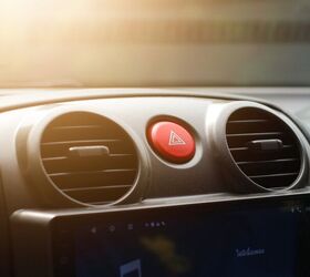 Image: Shutterstock/Adilnsd