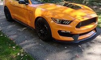 2018 Shelby GT350 For Sale
