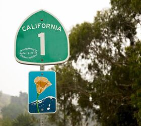 Image: Iris van den Broek