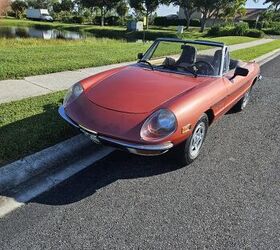 1981 alfa romeo spider for sale