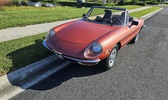 1981 Alfa Romeo Spider For Sale