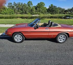 1981 alfa romeo spider for sale