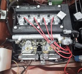 1981 alfa romeo spider for sale