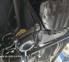 1981 alfa romeo spider for sale