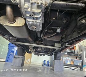 1981 alfa romeo spider for sale