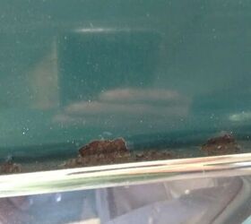 1964 volvo amazon for sale