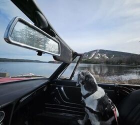 1975 alfa romeo spider for sale